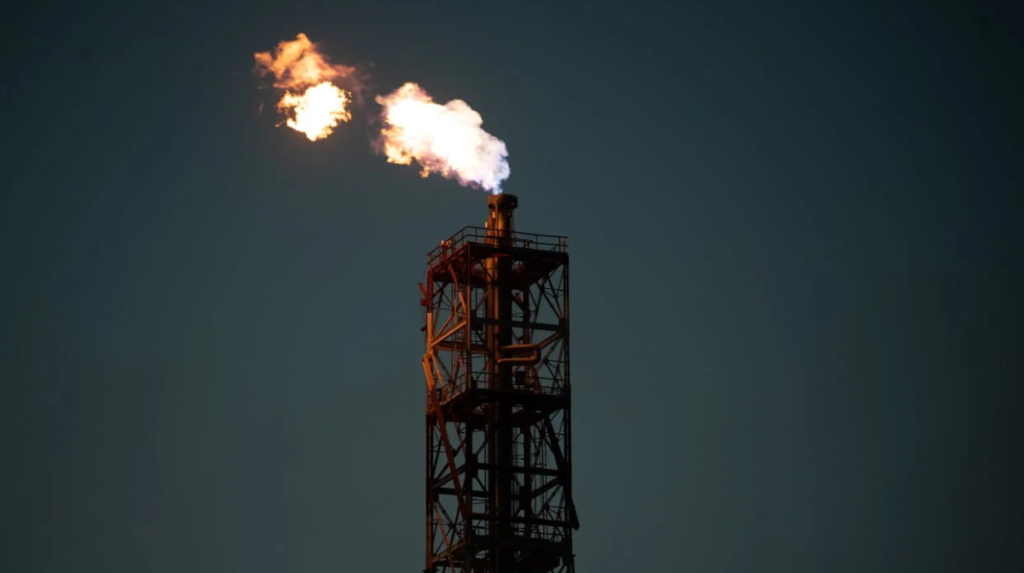 The Texas-based oil giant paid $22.5 billion in taxes, royalties and other items overseas, with the United Arab Emirates ($7.4 billion)The Texas-based oil giant paid $22.5 billion in taxes, royalties and other items overseas, with the United Arab Emirates ($7.4 billion)